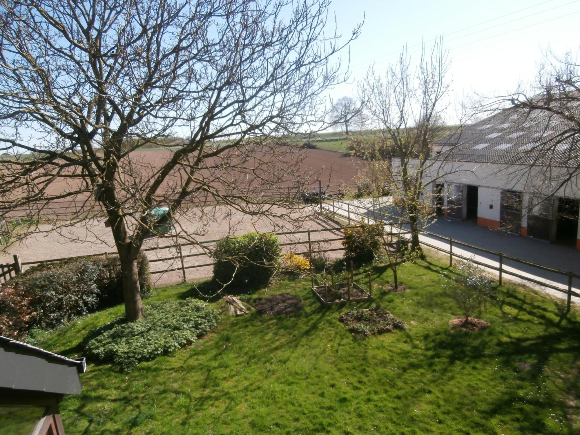 Au Randonneur - B&B Thuin Exterior foto